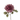 Dahlia blomst Purple - Kunstig