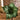 Kunstig julestjerne stilk H23cm - Flere farver