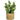 Grøn plante i kurv - Kunstig